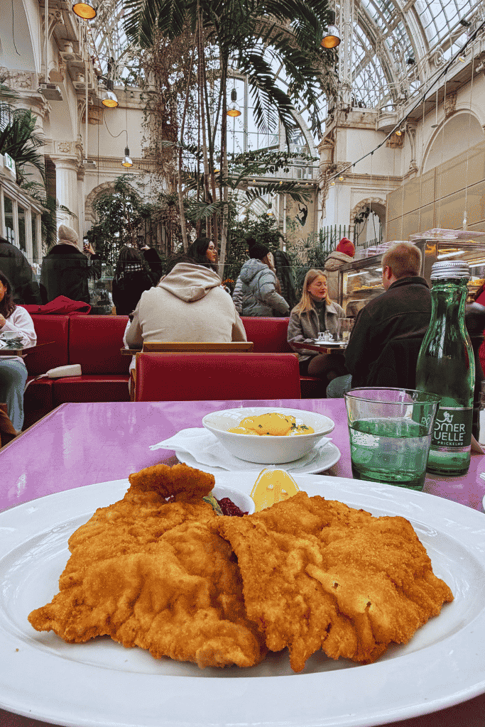 A large historic glass greenhouse with green metal framing stands beside an ornate palace as visitors walk along the path.

A busy café inside a glass greenhouse is filled with tall tropical plants, hanging vines, and people dining beneath the curved glass roof.

A plate of crispy schnitzel is served at a table inside a bright glass greenhouse café filled with tropical plants and diners.
