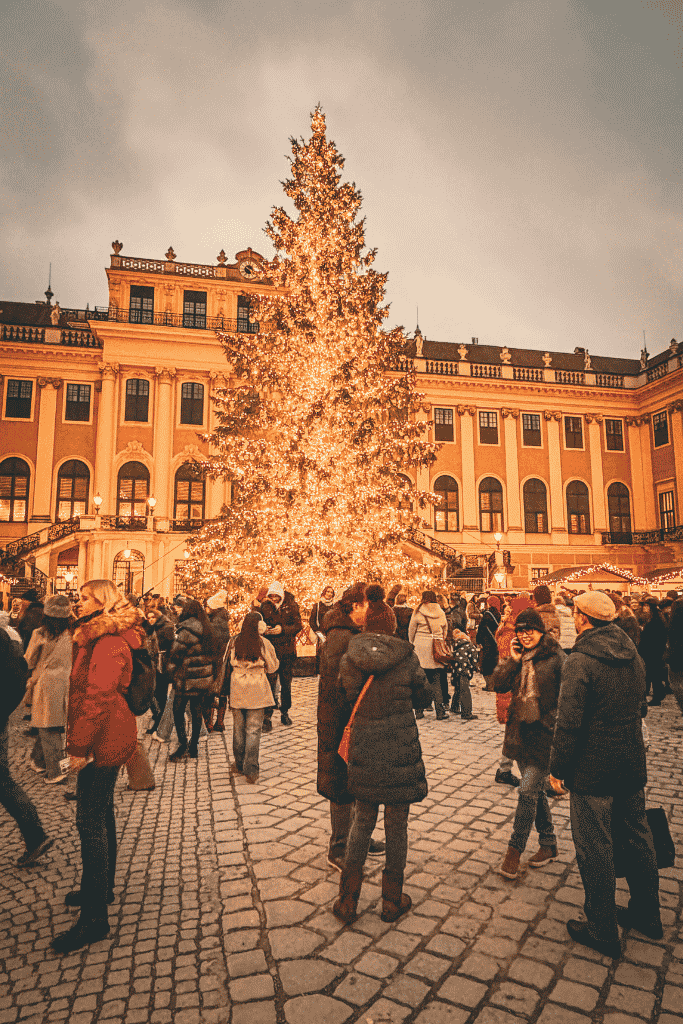 A large Christmas tree covered in glowing lights stands in a crowded courtyard at Schönbrunn Palace in Vienna.